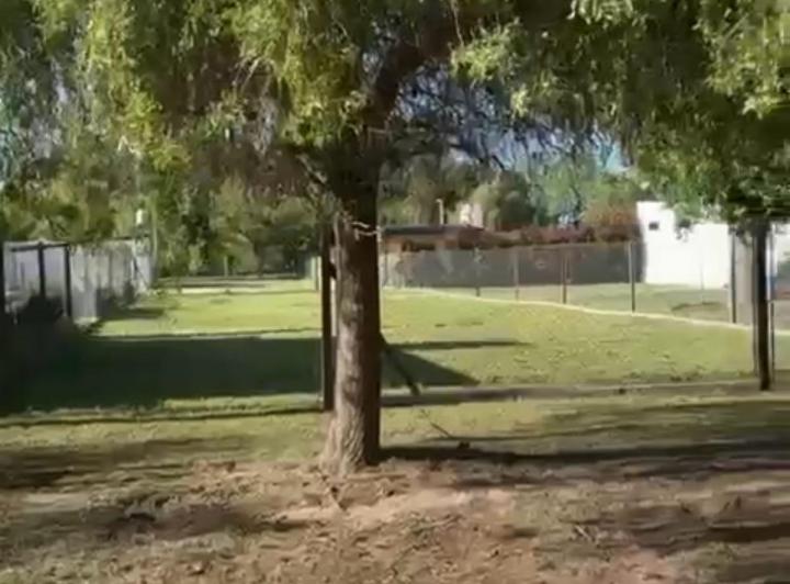 Terreno · 553m²