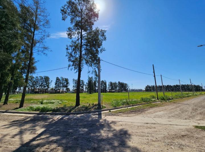 Terreno · 288m²