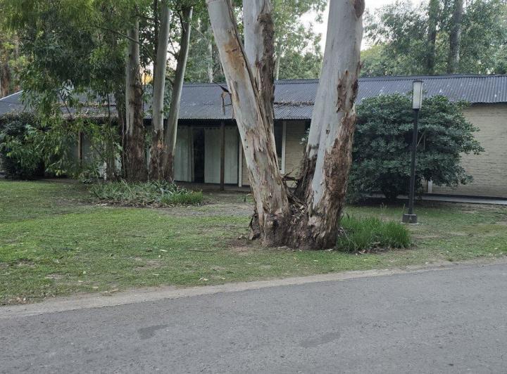 Terreno · 980m²