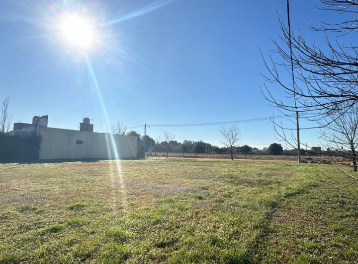 Terreno · 477m²