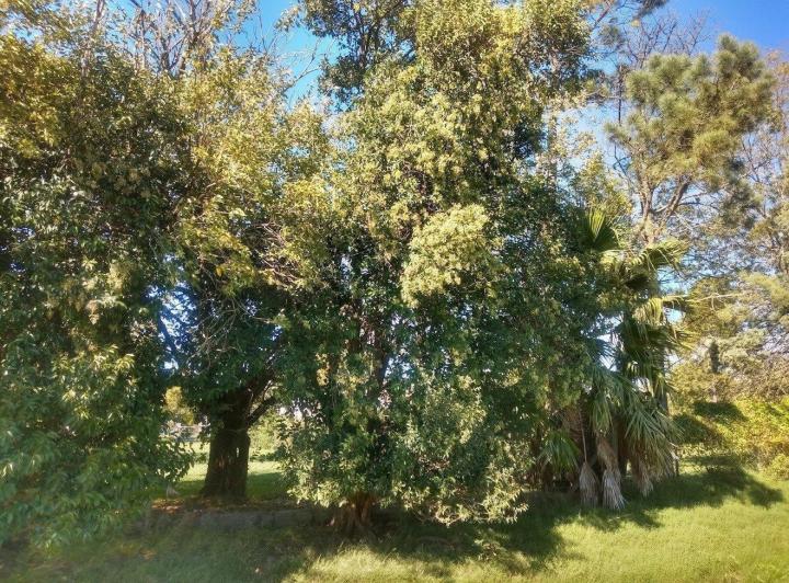 Terreno · 450m²