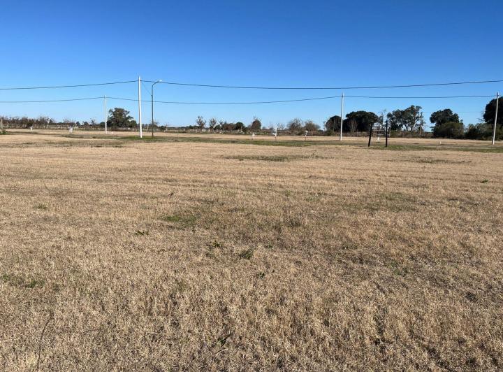 Terreno · 1000m²
