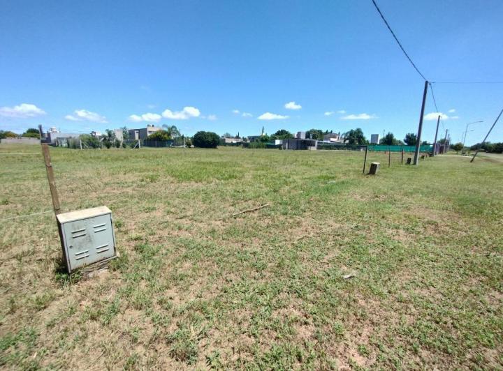 Terreno · 551ha