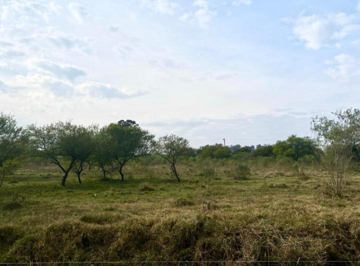 Terreno · 10000m²