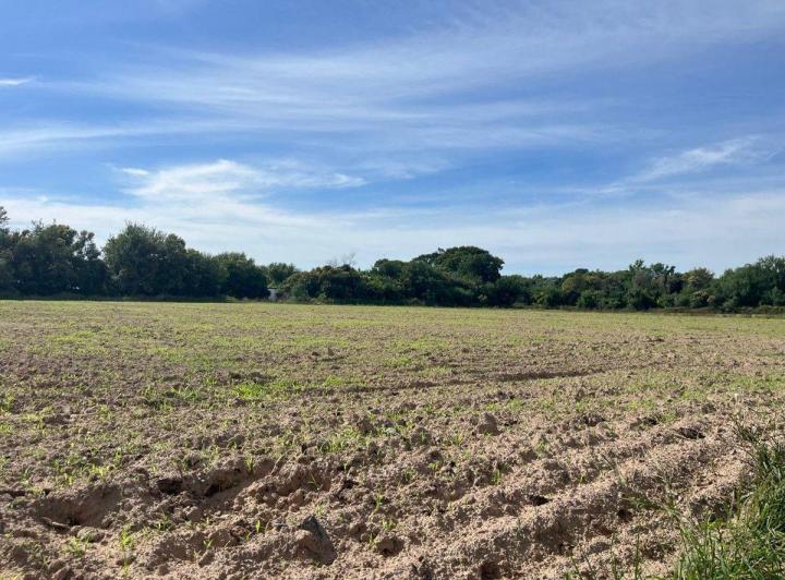 Terreno · 20000m²