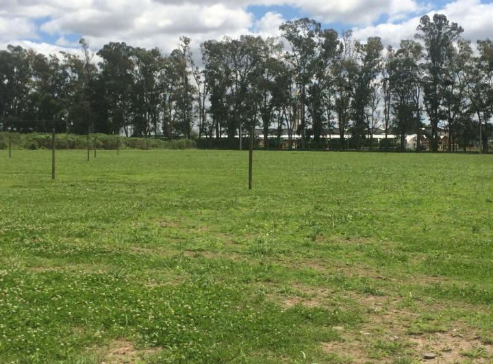 Terreno · 300m²