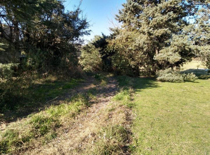 Terreno · 1600m²