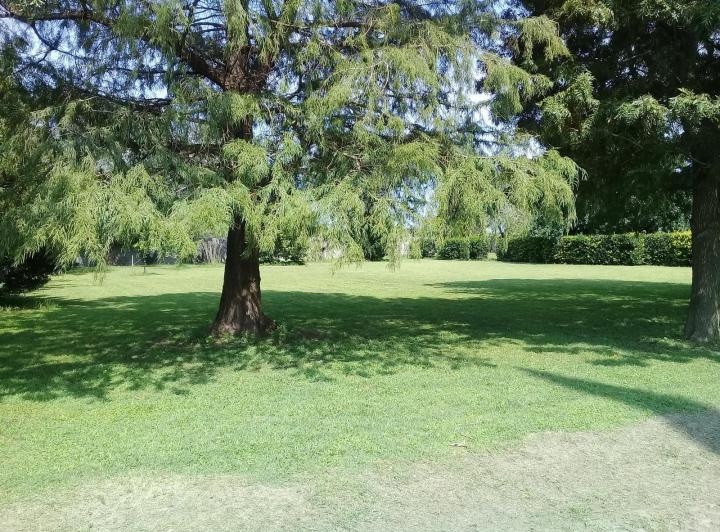 Terreno · 1421m²