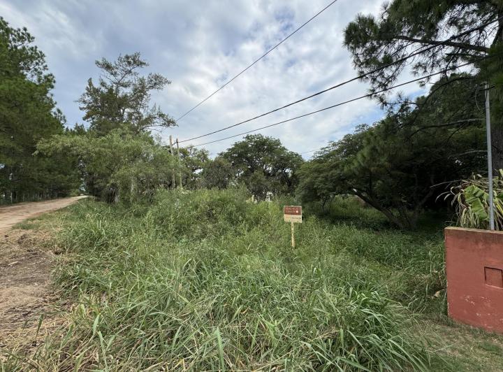 Terreno · 382m²