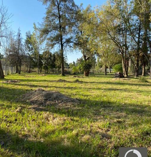 Terreno · 2080m²