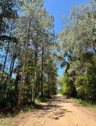 Terreno · 800m²