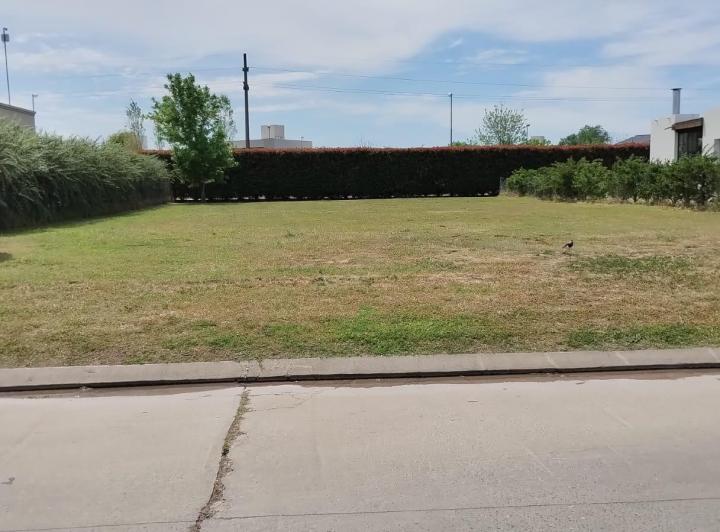 Terreno · 800m²