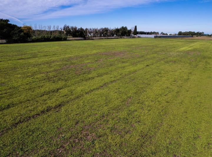 Terreno · 60000m²