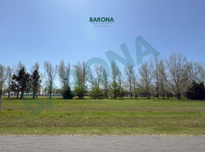 Terreno · 1000m²