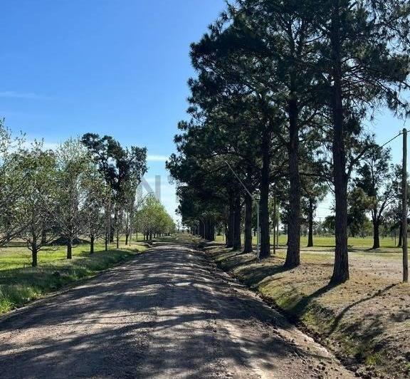 Terreno · 600m²
