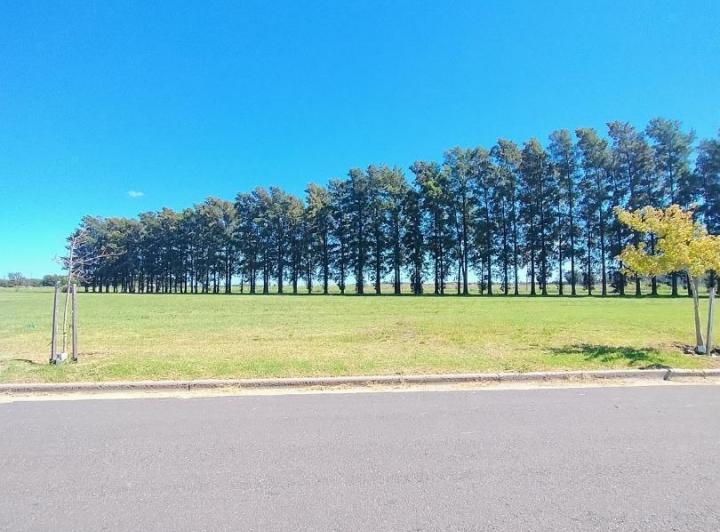 Terreno · 300m²