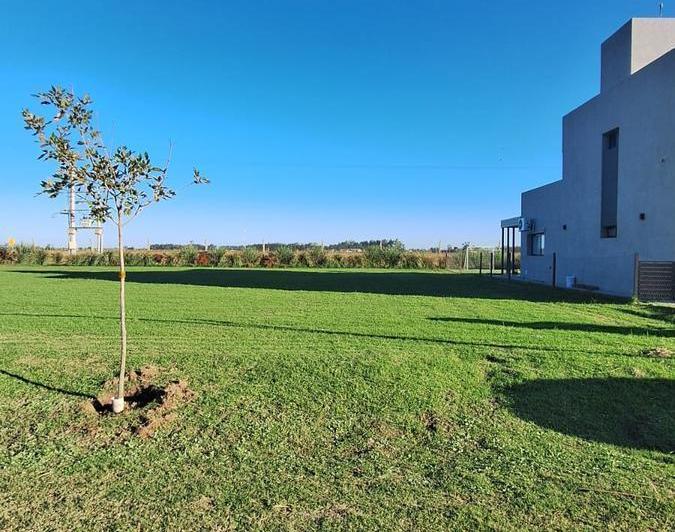 Terreno · 300m²