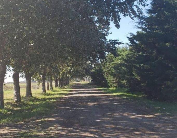 Terreno · 300m²