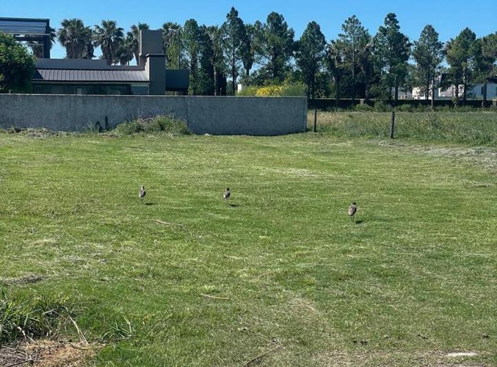 Terreno · 779m²