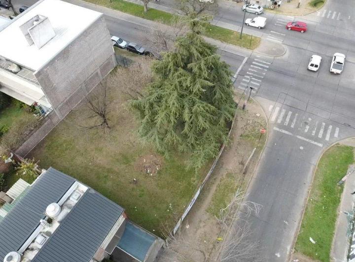 Terreno · 556m²