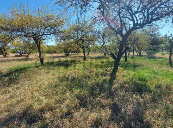 Terreno · 962m²
