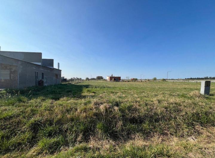 Terreno · 652m²