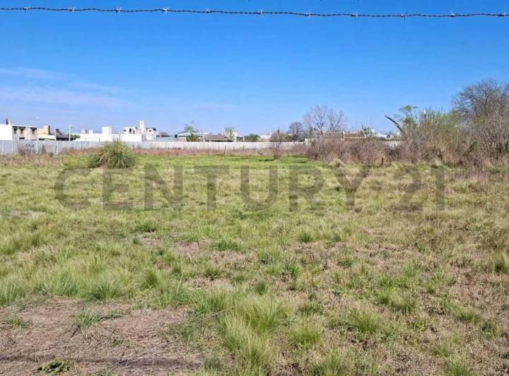 Terreno · 259m²