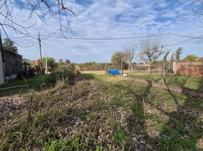 Terreno · 223m²
