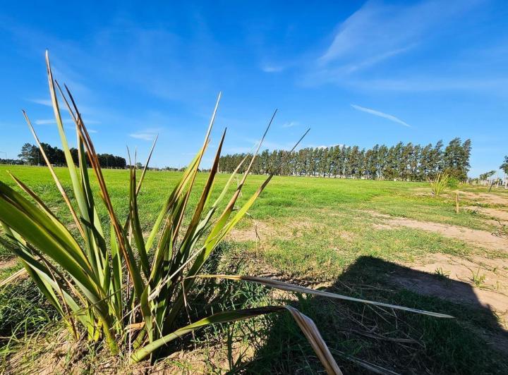 Terreno · 300m²