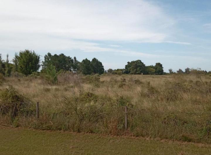 Terreno · 20000m²