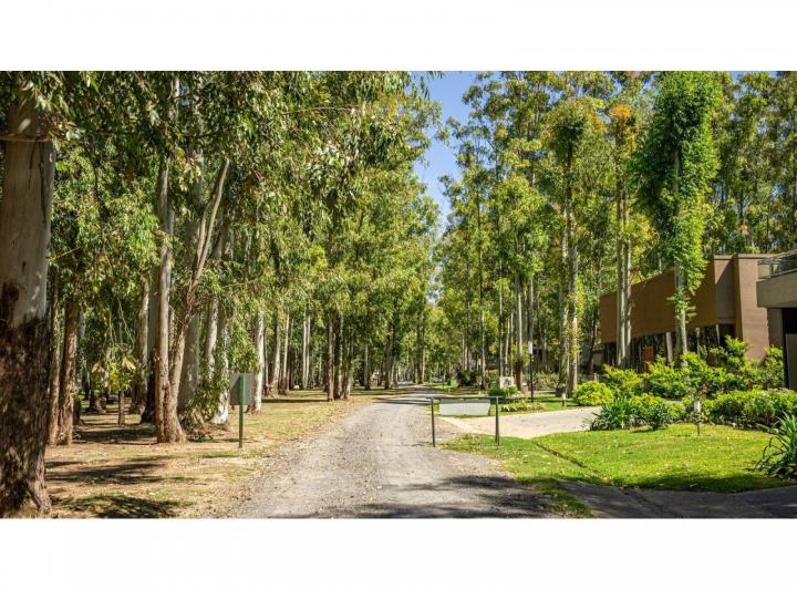 Terreno · 819m²