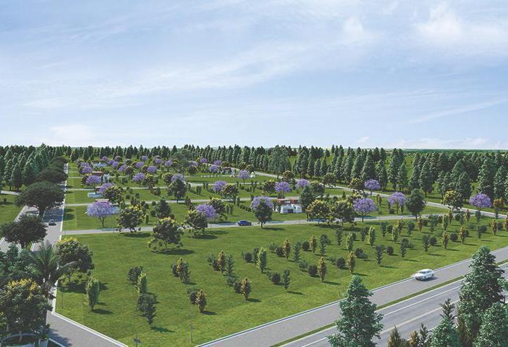 Terreno · 385m²
