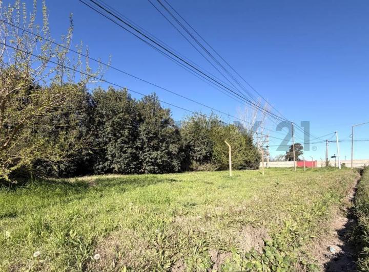 Terreno · 261m²
