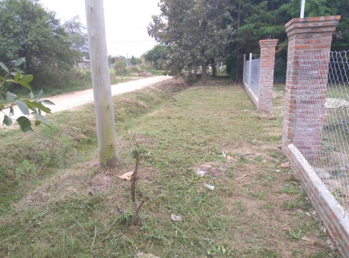 Terreno