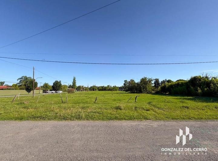 Terreno · 1000m²