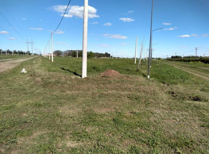 Terreno · 324m²