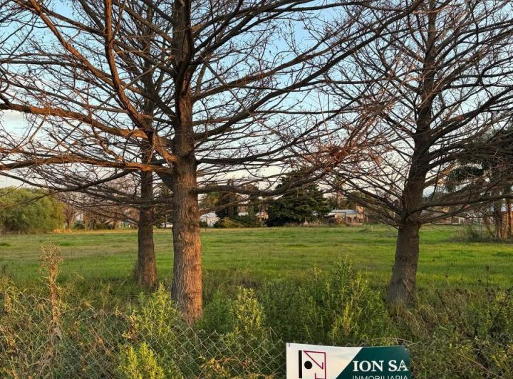 Terreno · 550m²