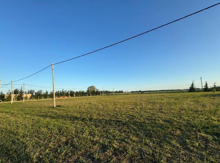 Terreno · 2898m²