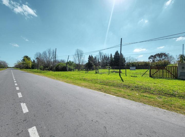Terreno · 1000m²