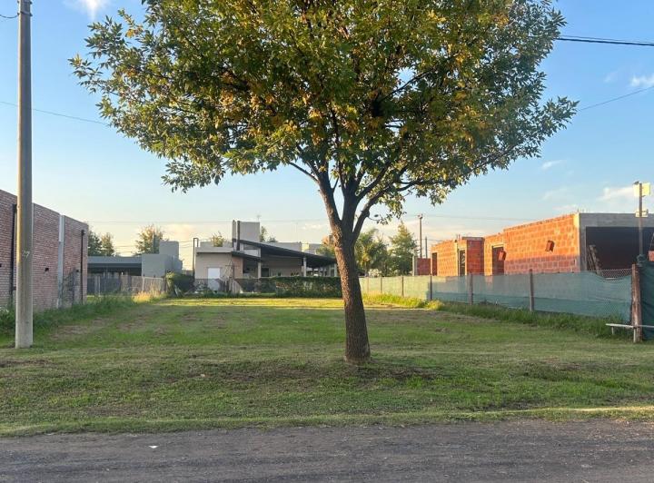 Terreno · 459m²