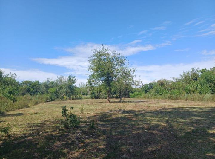 Terreno · 1300m²