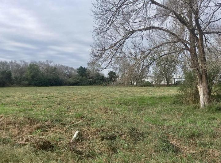 Terreno · 10000m²