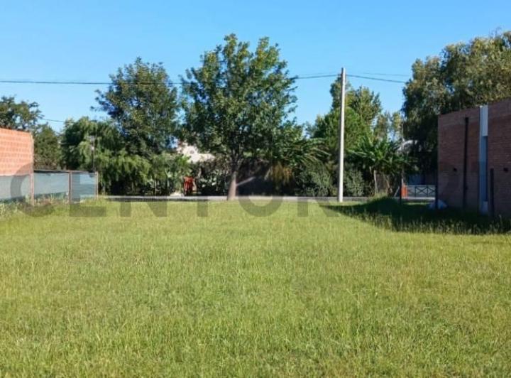 Terreno · 459m²
