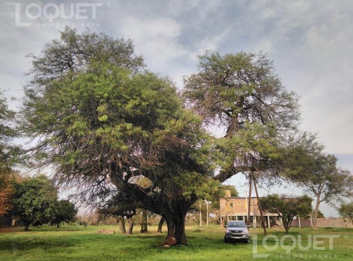 Terreno · 1003m²