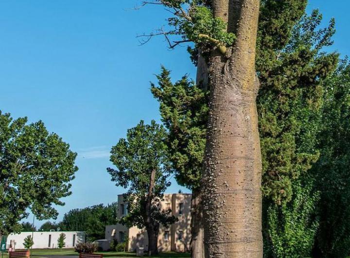Terreno · 1000m²