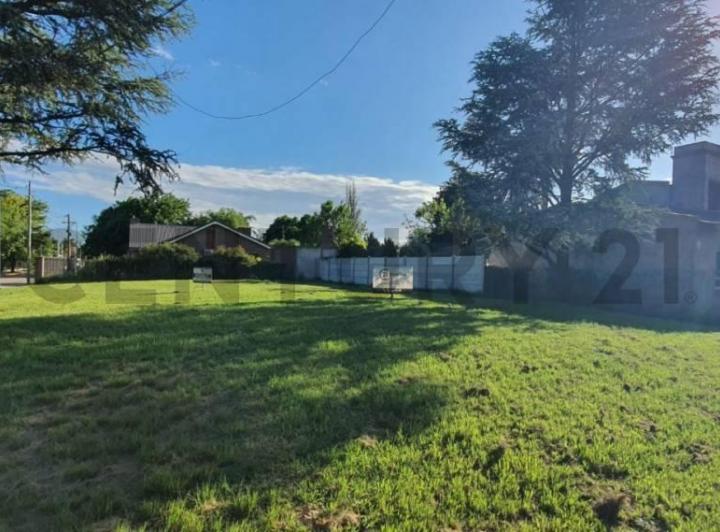 Terreno · 541m²