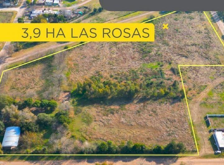 Terreno · 39000m²