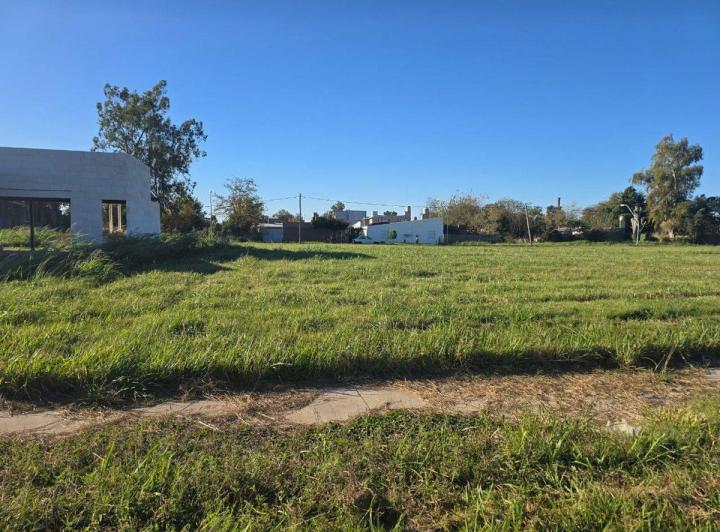 Terreno · 250m²