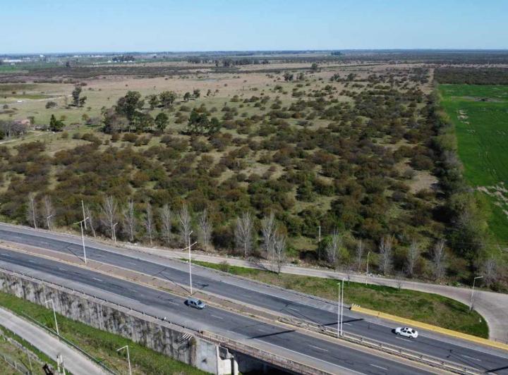 Terreno · 150500m²
