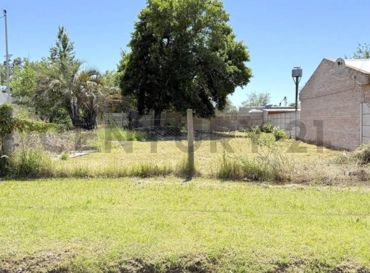 Terreno · 300m²